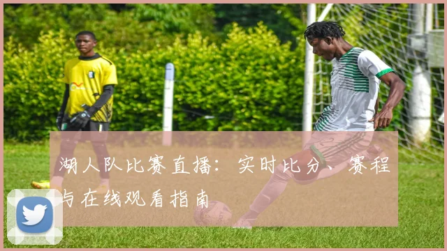 湖人队比赛直播:实时比分、赛程与在线观看指南
