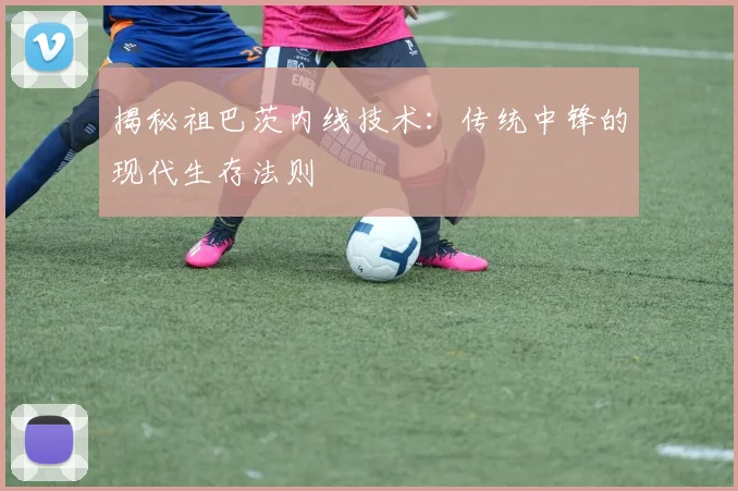 揭秘祖巴茨内线技术:传统中锋的现代生存法则